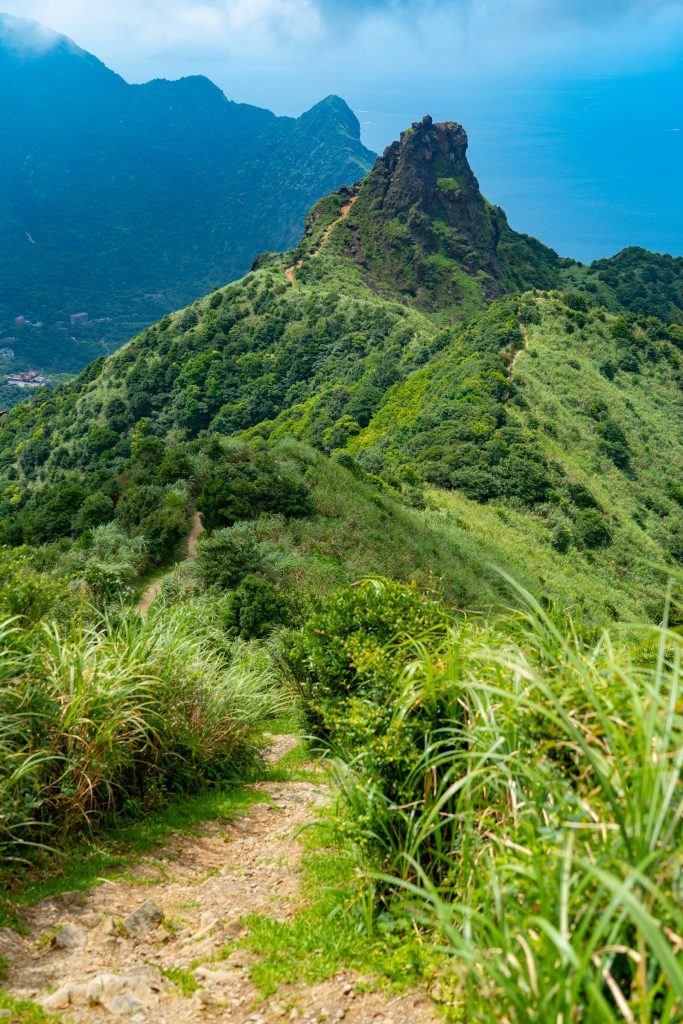 一條通往山頂的泥土小徑，象徵兒子重走父親三十年前留下的登山路線