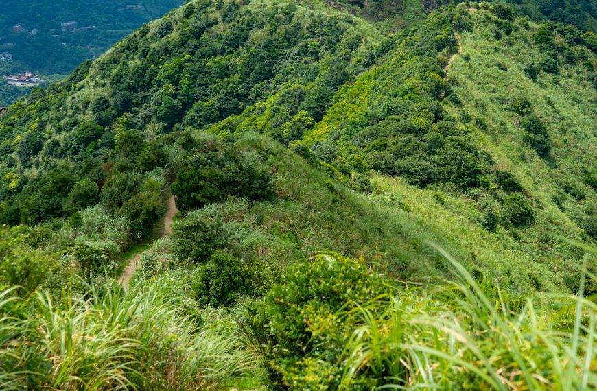 一條通往山頂的泥土小徑,象徵兒子重走父親三十年前留下的登山路線